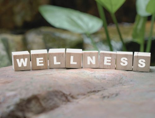 Twin Cities Integrated Mental Health Care: Therapy, Fitness, and Nutrition Support